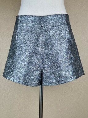 Hunt No More women’s silvery metallic shorts. Fully lined. Zipper in back.Size M